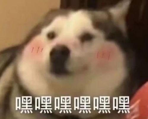 让人忍不住惊呼太可爱了的小句子