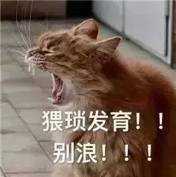 如果留学是场王者荣耀,你现在段位如何