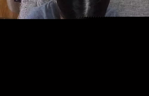为什么老人说,猫不能养十年原来是有道理的