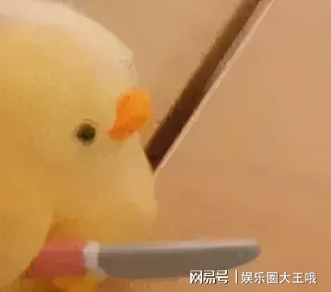 孙一宁和王思聪聊天表情包来咯,奉上原图,超级实用