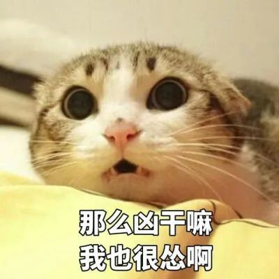 这么诚信的卖家不多了