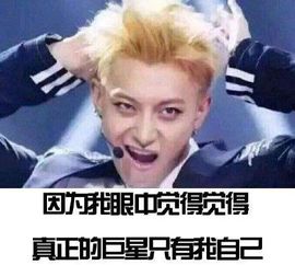 王大陆的嘴能吃人扒一扒被网友做成表情包的明星