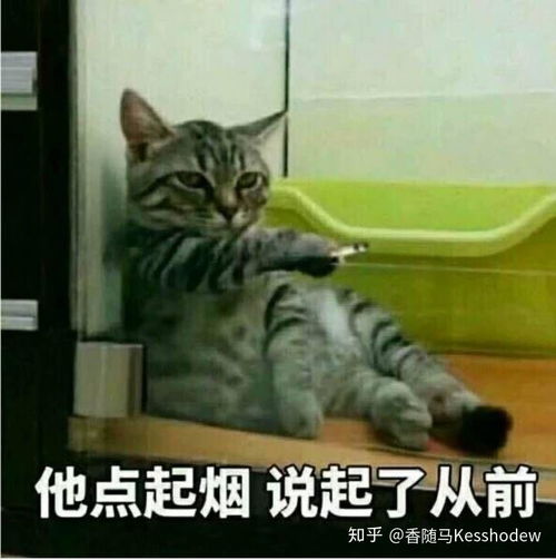 人类世界是一个游戏吗