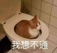 40岁男子想脱单,在网上找了两任女友,结果前后被骗6万多