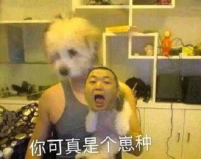只要有颗社交的心,万物皆可助你脱单