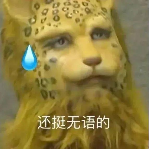 表情包,在努力远离一切降低睡眠质量的人和事