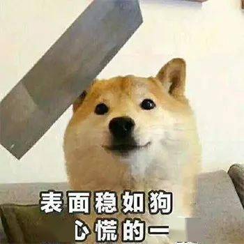 表情包爸爸这就来