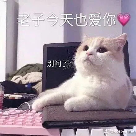 不要跟世界潦草的和解