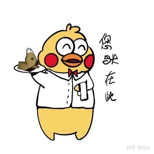 大量小黄鸡鹦鹉兄弟表情包更新来啦