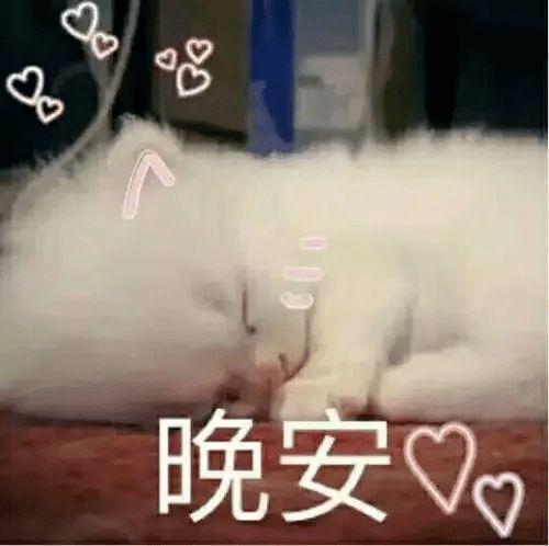 e句话看天下丨林志炫不让赵文卓开空调