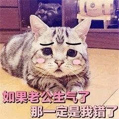 如果老公生气了那一定是我错了可爱猫咪表情包老公永远都是对的迷妹少女心表情包下载乐游网游戏下载