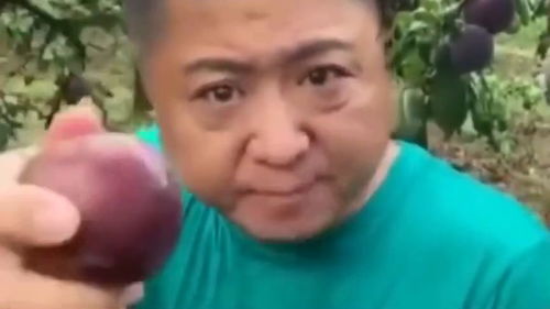 大叔直播带货现场吃李子,结果被酸出了表情包,真的是睁眼说瞎话