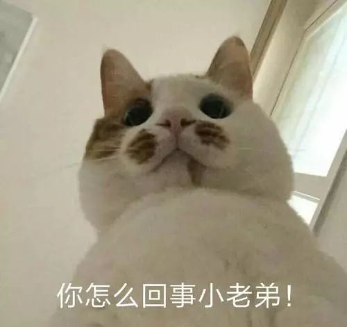 留学生2018流行语佛系赶due戏精final确认过眼神,是gpa没过4.0的人...