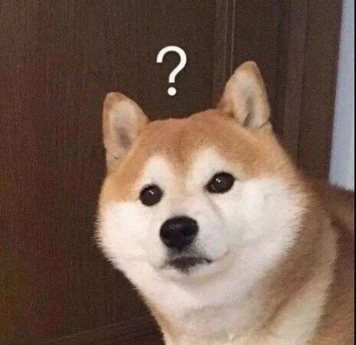 搞笑图片表情包沙雕
