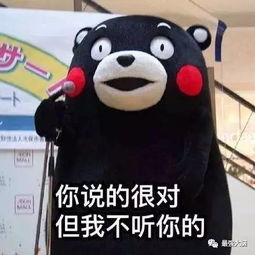 人眼雷达超级找茬王郑才千和超眼少年黄政谁能傲视全场