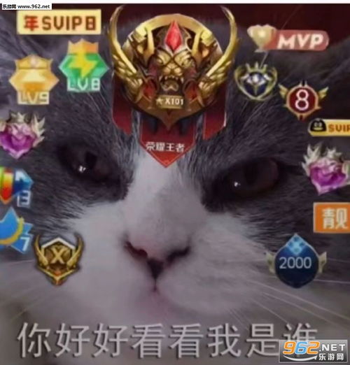 表情再见漂流瓶联系表情包猫猫虫猫咪图片下载乐游网手机下载站表情