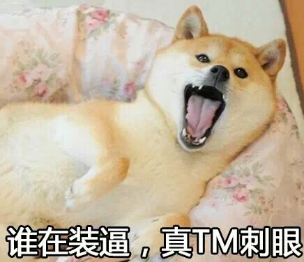 逗逼汪表情篇二