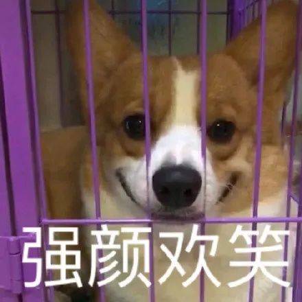 问对搓澡师傅说还没吃饭吧,会得到什么回应