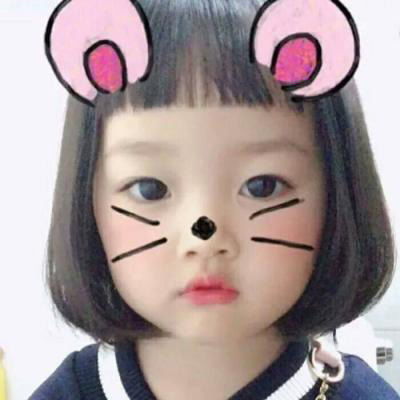 权律表情包带字图片权律