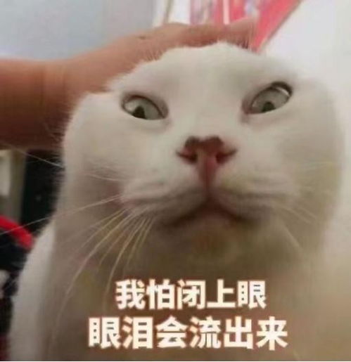 90后姑娘微信拉黑自己老板,究竟为哪般