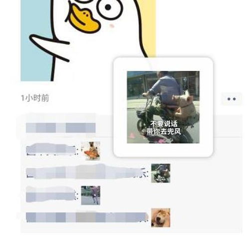 朋友圈可以评论表情包了
