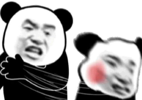 表情包沙雕表情包636期