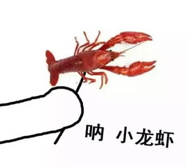 张伟小龙虾表情包小龙虾