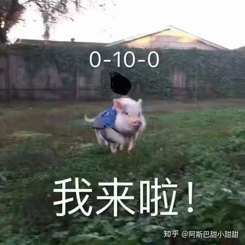 有哪些特别好玩搞笑的英雄联盟表情包呢