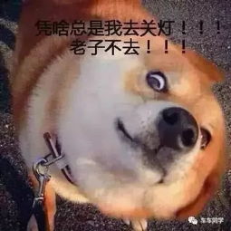 你的头像暴露了心理年龄小学初中高中大学你在哪一类
