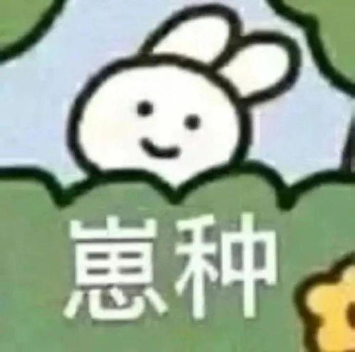 杀了尬聊快来获取沟通的秘密武器可爱表情包合集