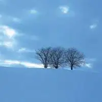 风景微信头像图片大全微信头像图片大全