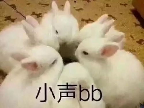 2019开门双喜,快来看你有没有中奖