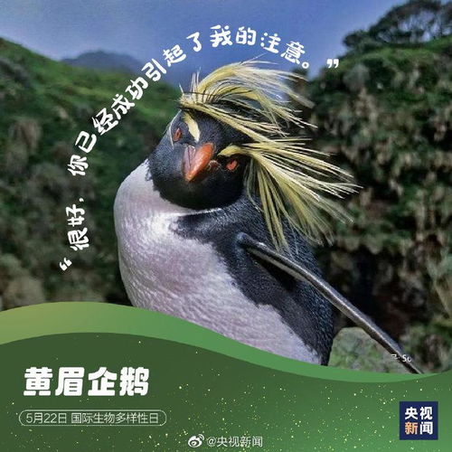 国际生物多样性日,请查收这些神奇动物表情包