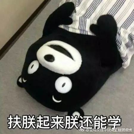 月初从零开始