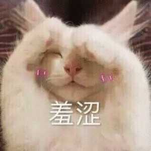 我的收藏夹