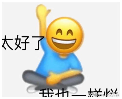 当代年轻人的状态,为什么经常在摆烂