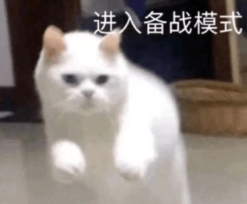 有编2021常德临澧县招教师120人,笔试成绩公布