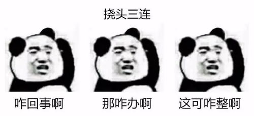 莫言三连爆红,你还不来一套留学三连