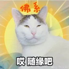 溜爸最喜爱的40个学区2019版发布