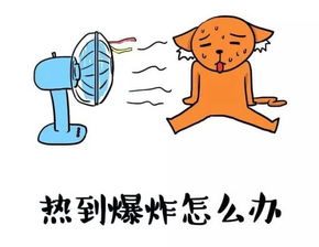 天气热的图片表情包闷热