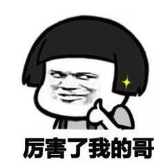 跟男朋友道歉的表情包杨女士
