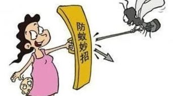 防蚊灭蚊大作战,不做包大人