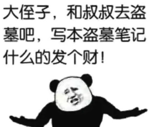 当年选专业时脑子进的水,如今都变成了表情包