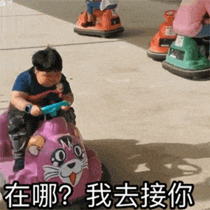 抖音热门表情包