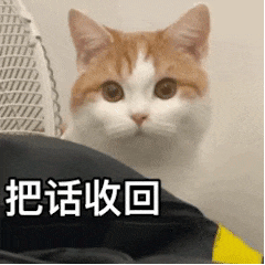 猫咪托梦跟我说快分手,你这对象不行,我到底要不要分呢
