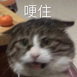 糖吃多了会变黄关于抗糖的真相你知道多少