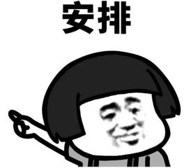 安排表情包