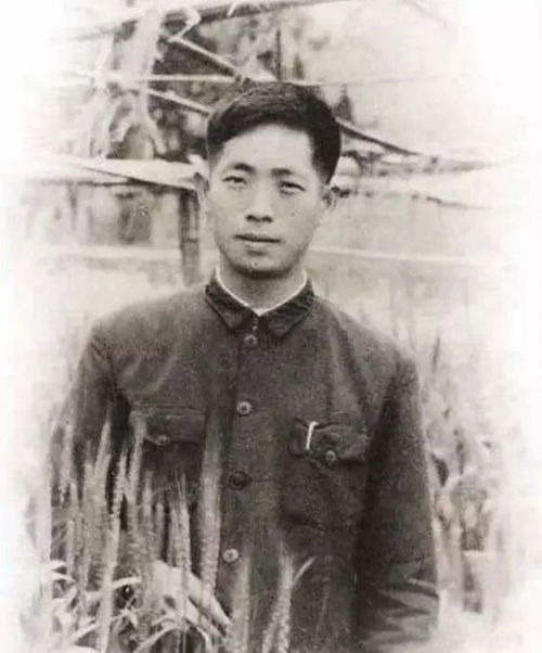 让数十亿人吃饱饭的袁隆平,其实差点当了国家队运动员飞行员