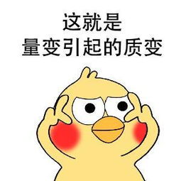 小黄鸡表情包做一个小哥哥的备胎,你永远都是备胎