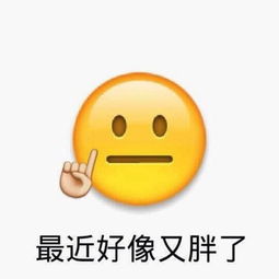 在东华读书是什么感受